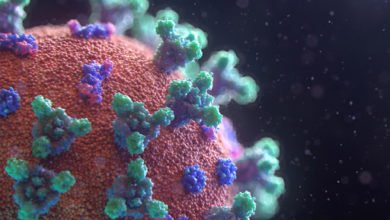 صورة هيئة الصحة: تسجيل 14 إصابة جديدة بالفيروس وشفاء 19 حالة