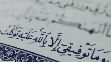 صورة عن الاصلاح الديني مقاربة عامة