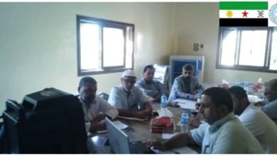 صورة للجنة الدستورية ومبدأ فصل السلطات