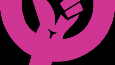 صورة قراءة في المدرسة النسوية وتياراتها