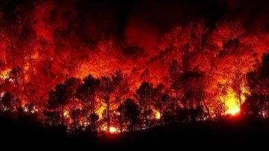 صورة حرائق تلتهم أراضٍ زراعية واسعة في ريف اللاذقية تصل “القرداحة”