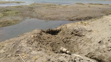 صورة الأمم المتحدة تُحذّر من انتشار الأمراض في شمال شرقي سوريا بسبب أزمة المياه