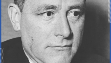 صورة سيادة الدولة عند كارل شميت