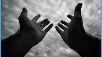 صورة ثلاثة طرق للإصلاح الديني