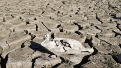 صورة جفاف يضرب سداً رئيسياً شمال غربي سوريا