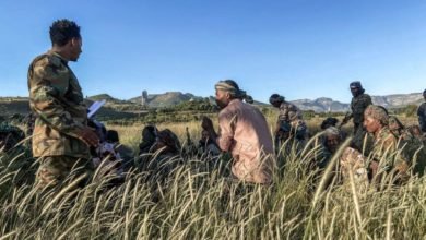 صورة دعوات دولية لتهدئة الصراع المسلح في إثيوبيا