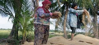 صورة لا تزال الفجوات بين الجنسين في مجال العمل قائمة، ولكن الحلول جلية