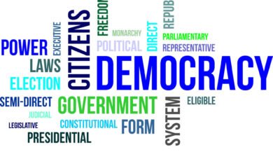 صورة الديموقراطية وظاهرة الاحتكار السياسي