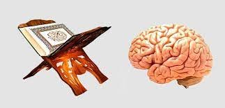 صورة الإنسان  بين قوّتين العقل والدين