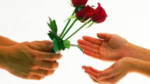 صورة ثقافة الإعتذار