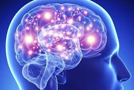 صورة تحرير العقل العربي من براثن التراث..جورج طرابيشي.