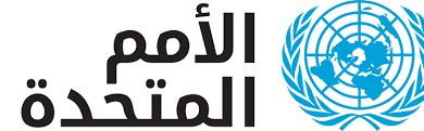 صورة الديمقراطية كما تراها منظمة الامم المتحدة
