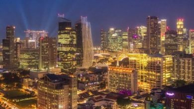 صورة نماذج تنموية معاصرة سنغافورة نموذجا(١).