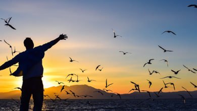 صورة جدلية الحرية والعلم في بناء الوجود الإنساني(٣).