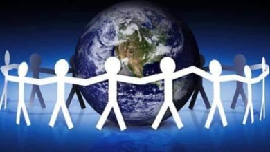 صورة دور المنظمات غير الحكومية في حماية حقوق الإنسان.