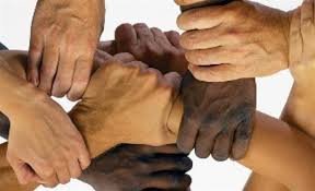 صورة التَّنوُّع البشريُّ المذهِل(٥).