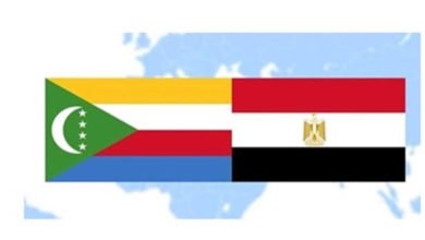 صورة دراسة: مصر أسوأ الدول العربية بالنسبة لحقوق المرأة وجزر القمر أفضلها(١).