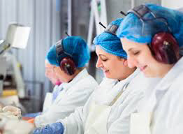 صورة كيف يمكن أن يكون للإعلام العربي دور في سلامة العاملات في مجال الإعلام(١).