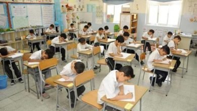 صورة كيف نحارب الإرهاب والتطرف بالتعليم؟(١).