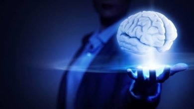 صورة المعرفة و مصادرها(١١).