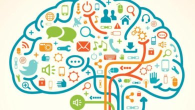 صورة المعرفة و مصادرها(٥).