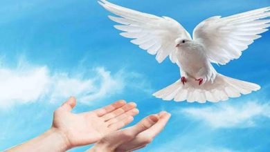 صورة التفكير المتدين كنمط عابر للتيارات الحزينة العربية(١).