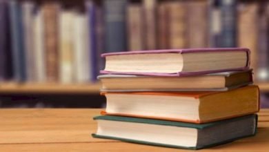 صورة نظرية التجاوز المذهبي لا للعداء والوحدة والتقريب، نعم للتجاوز(1).