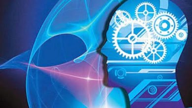 صورة سيرورة الحداثة والعلمنة.. من حداثة السوق إلى علمنة الحياة! 