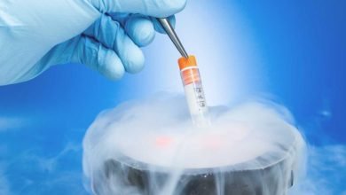 صورة كيف تعاملت سوريات مع تجميد البويضات.. ما موقف المجتمع من ذلك؟