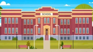 صورة الحداثة والتحديث في التربية.