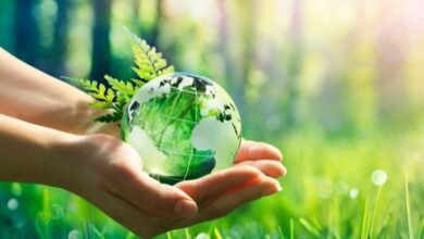 صورة البيئة و السياسة.