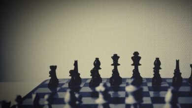 صورة الطيف السياسي.