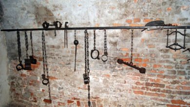 صورة وباء المازوخية السياسية.