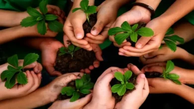 صورة كيف تكون الأخلاق بلا دين؟