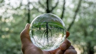 صورة الفنّ تحرّراً من الأوهام