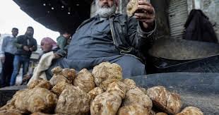 صورة مَن يقتل جامعي “الكمأة” في سوريا كل عام؟