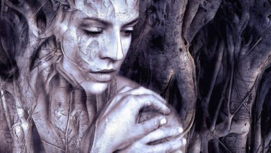 صورة اللغة وأدوار المرأة المتجددة: نافذة لفهم التحولات المجتمعية