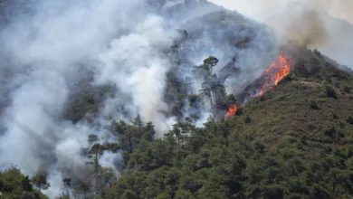 صورة عن حرائق الساحل السوري…افتتاحية العدد. 